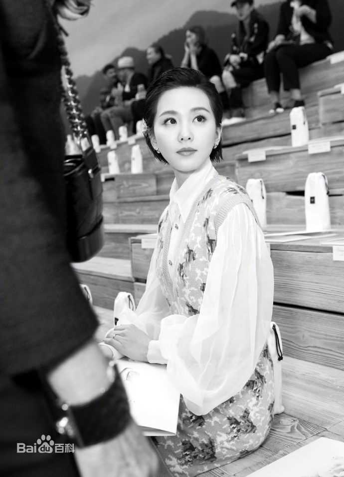 刘诗诗(Liu Shishi)香奈儿2017/18“古典的现代性”早春度假系列成都发布会图片图册