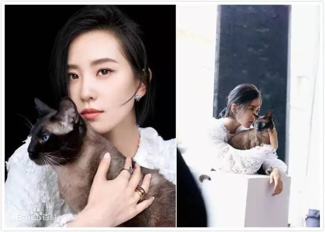 精选刘诗诗(Liu Shishi)在《瑞丽伊人风尚》9月刊中的图册