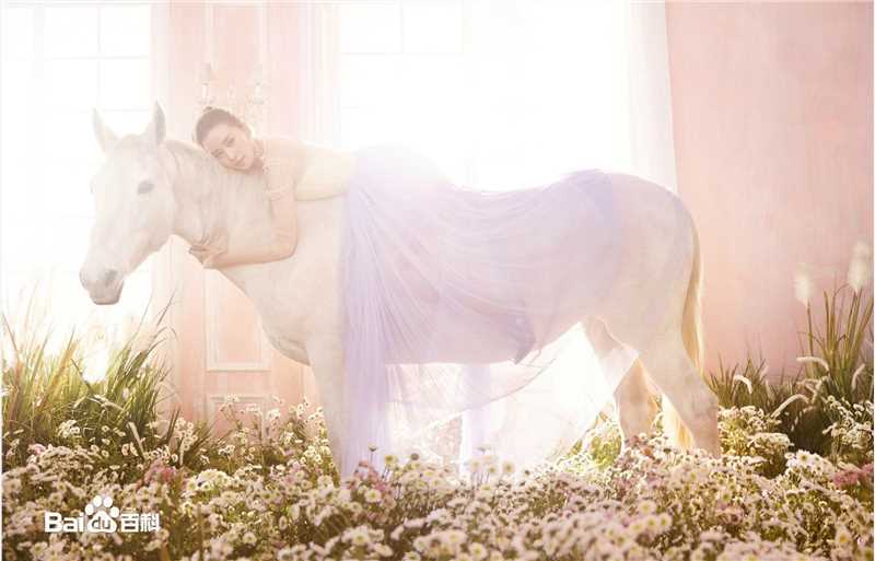 刘诗诗(Liu Shishi)时尚芭莎图片图册