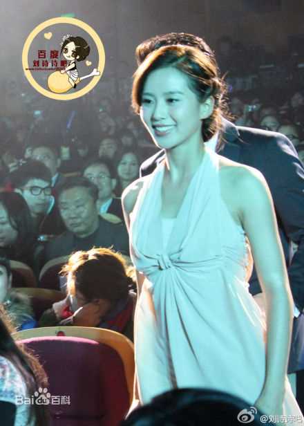 最优质刘诗诗(Liu Shishi)精彩图册