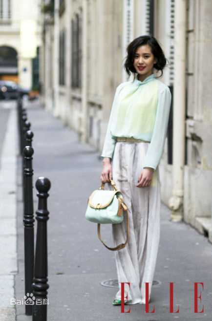 最优质刘诗诗(Liu Shishi)精彩图册