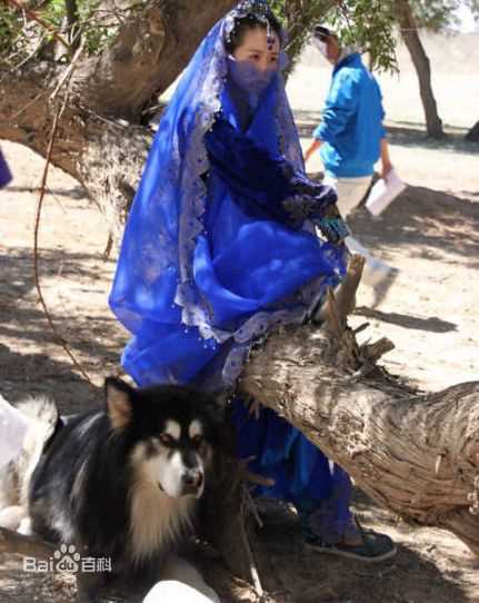 高清刘诗诗(Liu Shishi)精彩图册2