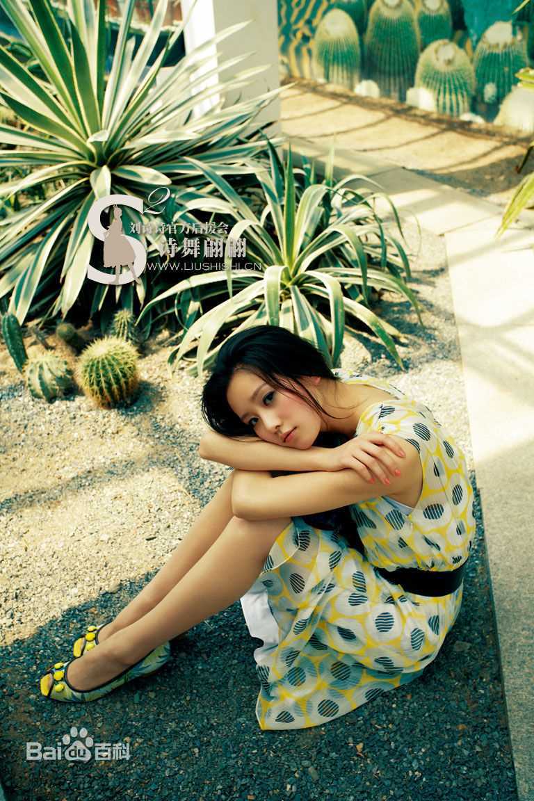 高清刘诗诗(Liu Shishi)精彩图册2