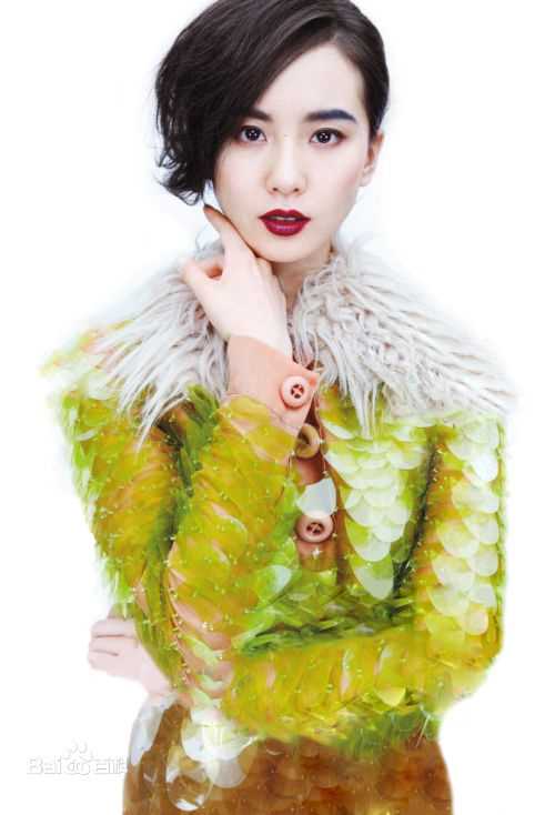 刘诗诗(Liu Shishi)精彩图册