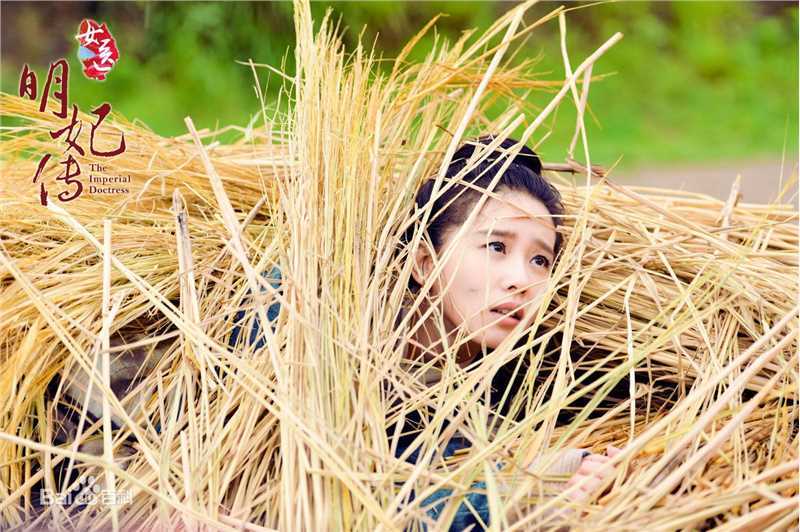 最新刘诗诗(Liu Shishi)在《女医明妃传》饰谈允贤中的图集