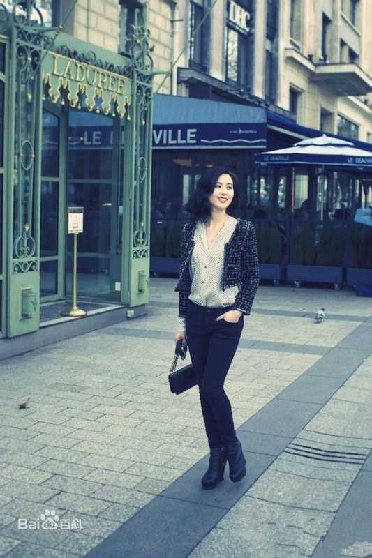 最优质刘诗诗(Liu Shishi)精彩图册