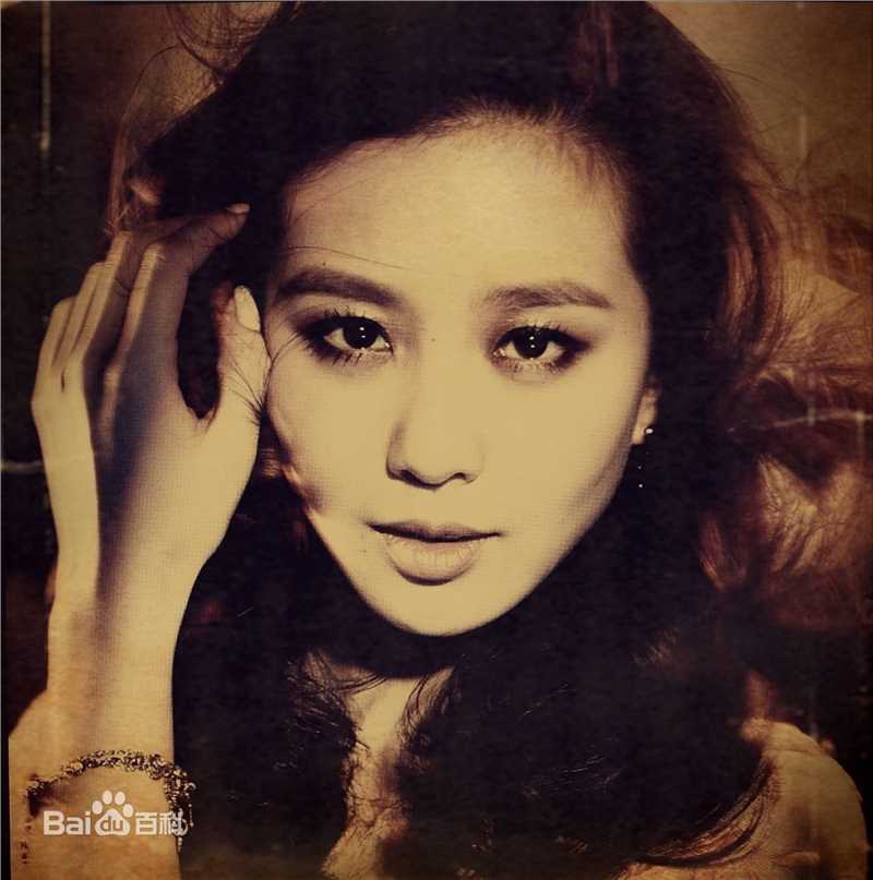 最优质刘诗诗(Liu Shishi)精彩图册