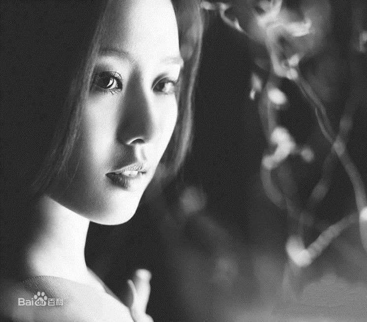 最优质刘诗诗(Liu Shishi)精彩图册