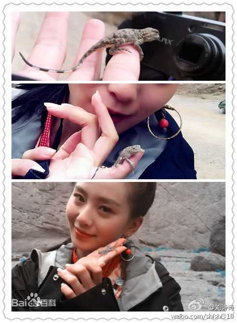 刘诗诗(Liu Shishi)精彩图册