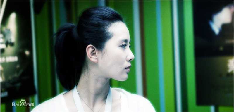 最优质刘诗诗(Liu Shishi)精彩图册