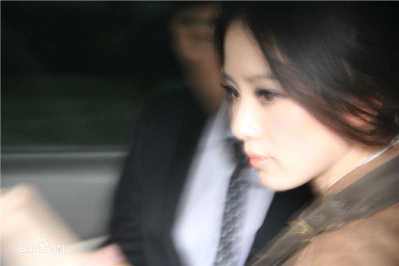 最优质刘诗诗(Liu Shishi)精彩图册