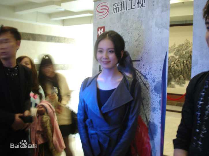 最优质刘诗诗(Liu Shishi)精彩图册