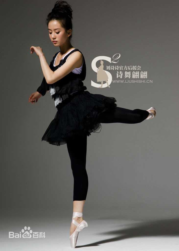 最优质刘诗诗(Liu Shishi)精彩图册