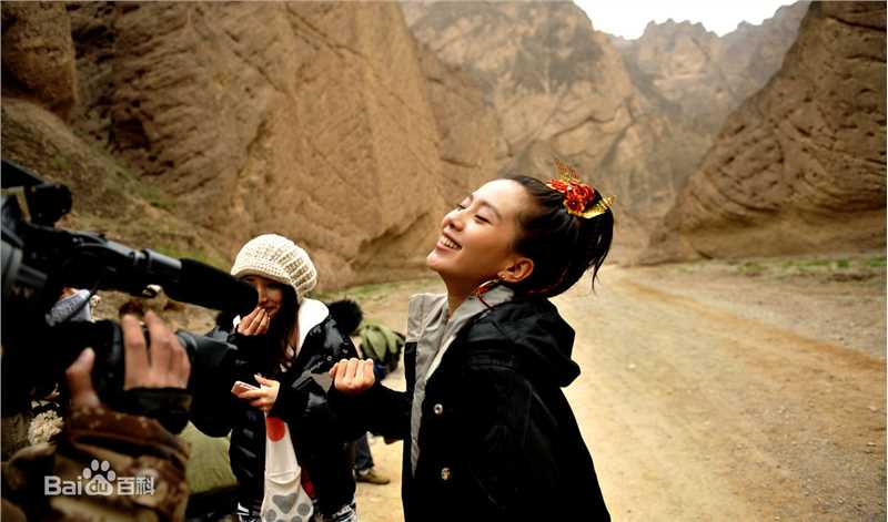 精选刘诗诗(Liu Shishi)精彩图册4