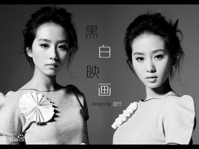 精选刘诗诗(Liu Shishi)精彩图册4