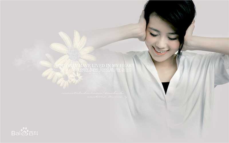 精选刘诗诗(Liu Shishi)精彩图册4