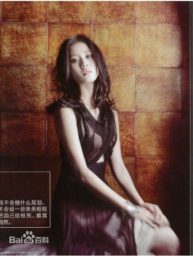 精选刘诗诗(Liu Shishi)精彩图册4