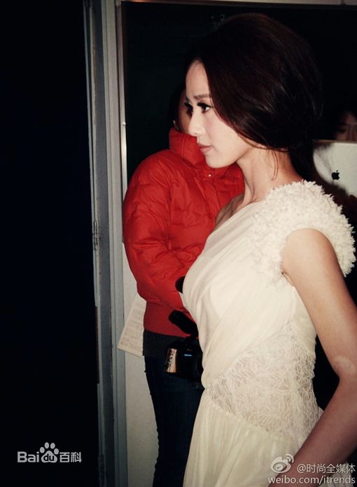 精选刘诗诗(Liu Shishi)精彩图册4