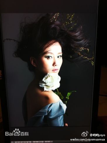 精选刘诗诗(Liu Shishi)精彩图册4