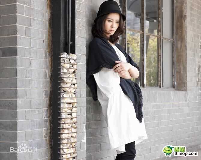 最全刘诗诗(Liu Shishi)精彩图册1