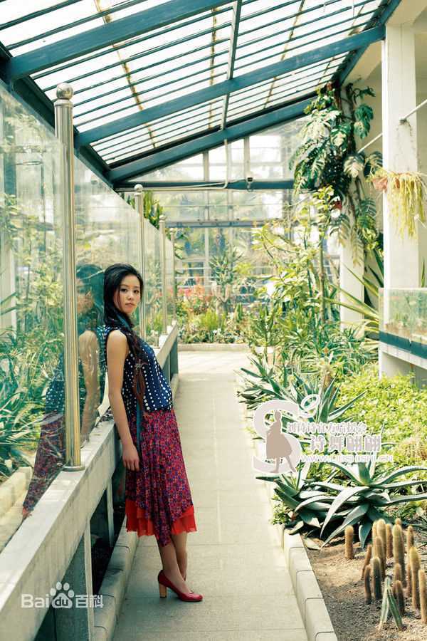 最新刘诗诗(Liu Shishi)精彩图册5