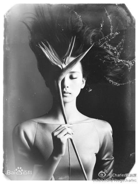 最新刘诗诗(Liu Shishi)精彩图册5