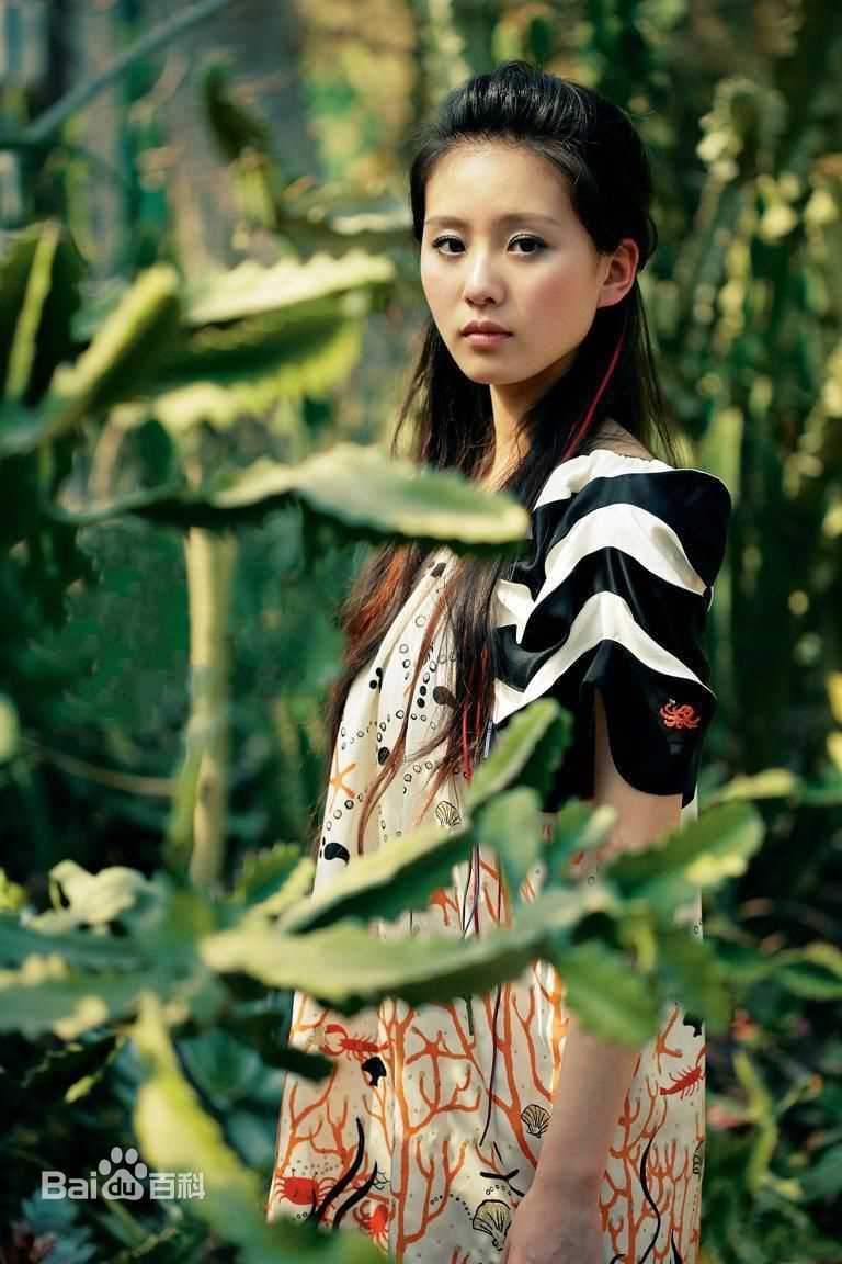 最新刘诗诗(Liu Shishi)精彩图册5