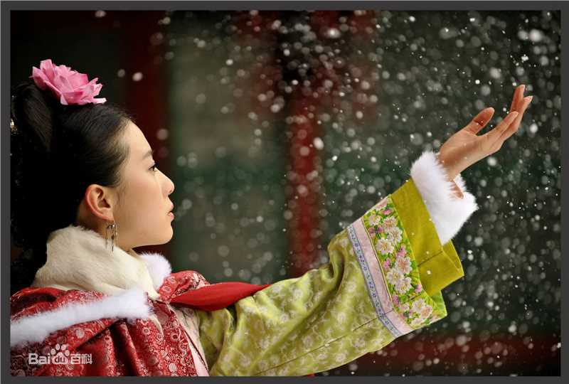 刘诗诗(Liu Shishi)在《步步惊心》饰马尔泰·若曦张晓中的