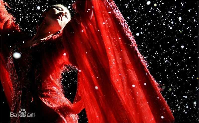 刘诗诗(Liu Shishi)在《步步惊心》饰马尔泰·若曦张晓中的