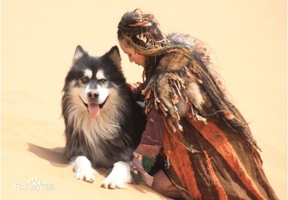 最全刘诗诗(Liu Shishi)精彩图册3