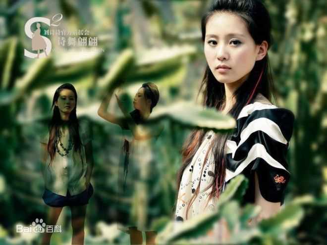 最全刘诗诗(Liu Shishi)精彩图册3