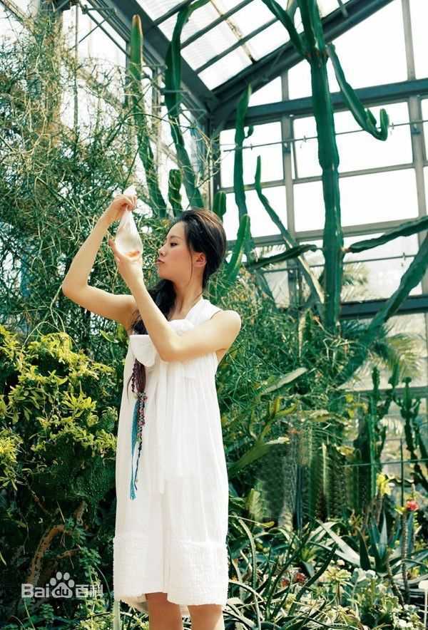 精选刘诗诗(Liu Shishi)精彩图册4