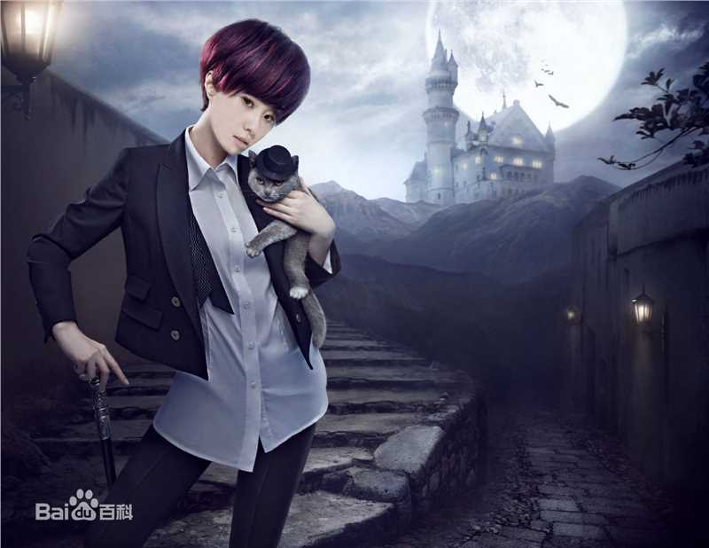 精选刘诗诗(Liu Shishi)精彩图册4