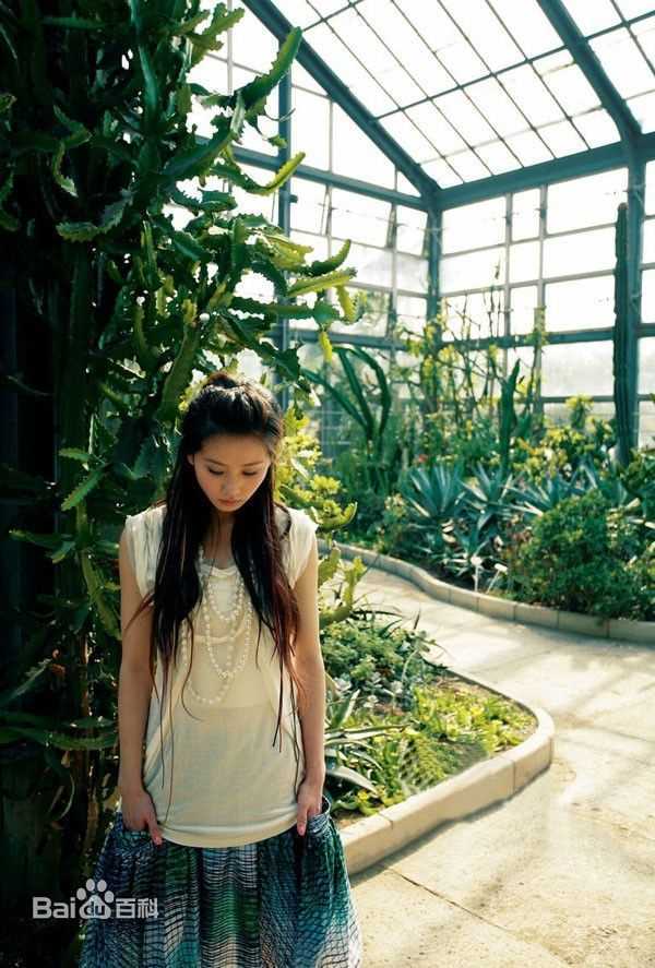 精选刘诗诗(Liu Shishi)精彩图册3