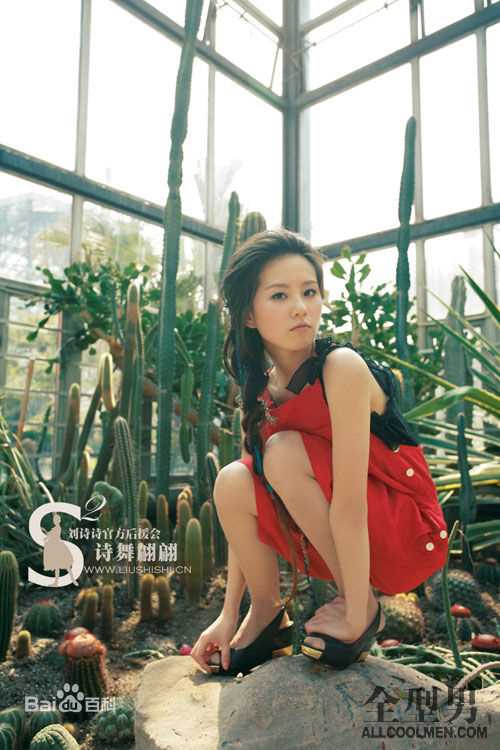 最优质刘诗诗(Liu Shishi)精彩图册4