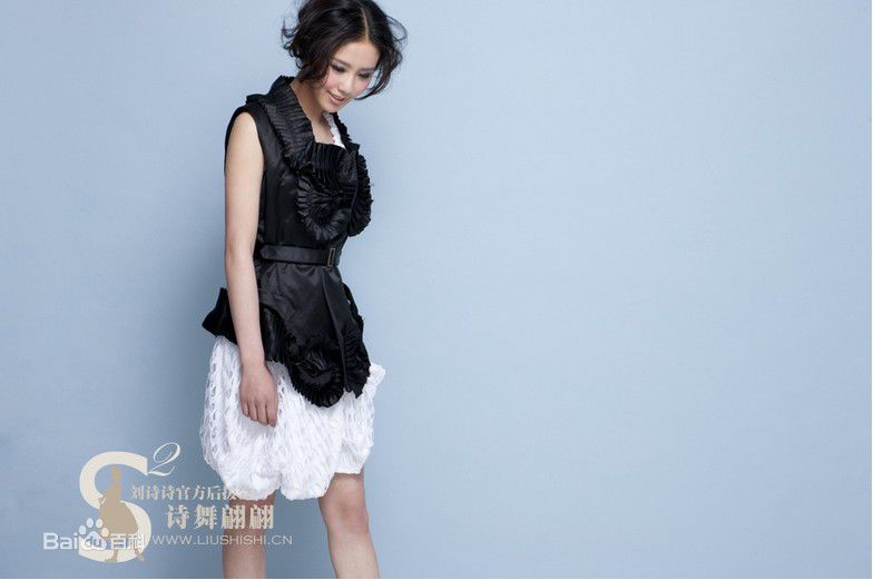 最优质刘诗诗(Liu Shishi)精彩图册4