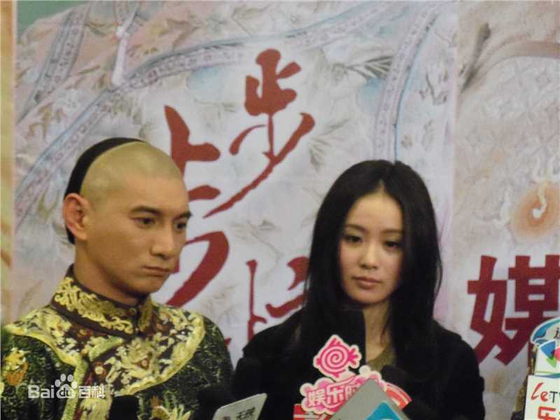 最全刘诗诗(Liu Shishi)在出席《步步惊心》媒体见面会中的壁纸