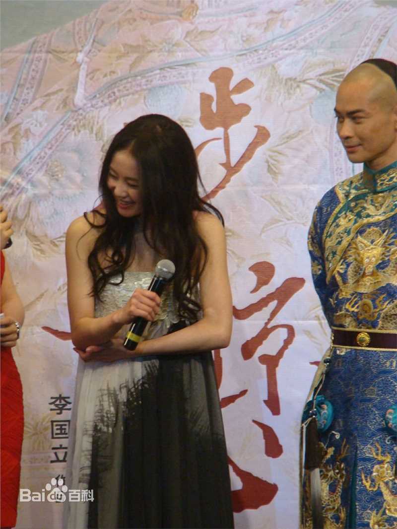 最全刘诗诗(Liu Shishi)在出席《步步惊心》媒体见面会中的壁纸