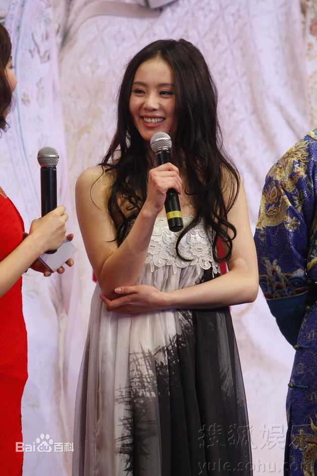 最全刘诗诗(Liu Shishi)在出席《步步惊心》媒体见面会中的壁纸