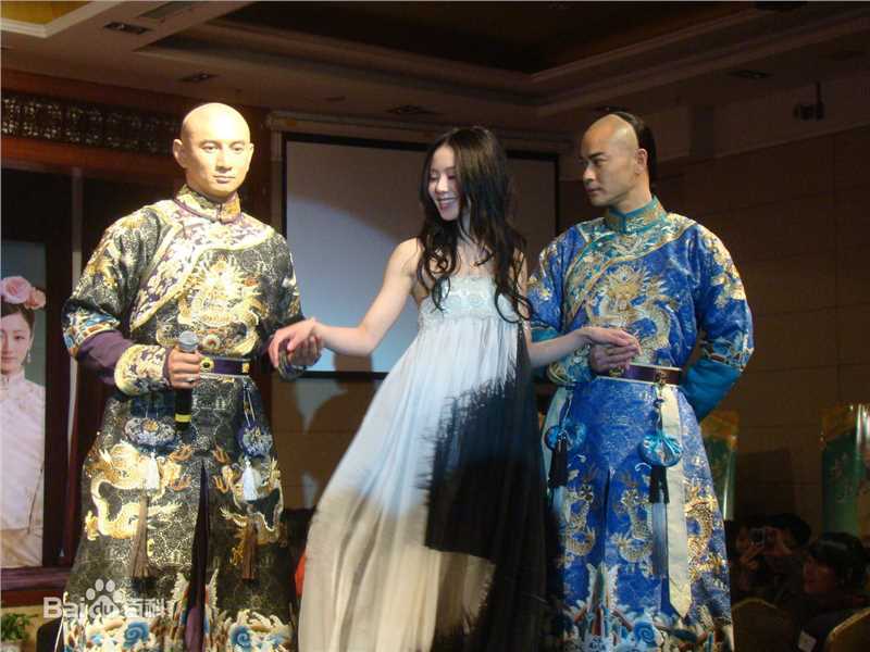 最全刘诗诗(Liu Shishi)在出席《步步惊心》媒体见面会中的壁纸