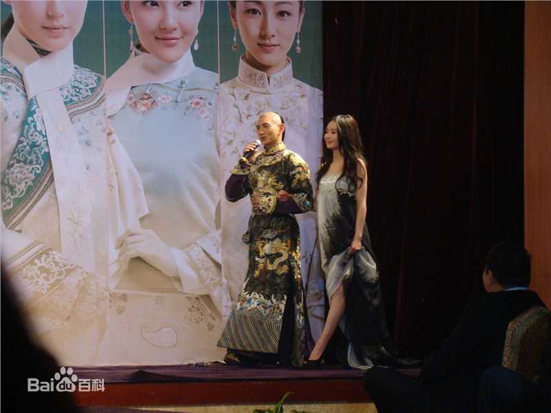 最全刘诗诗(Liu Shishi)在出席《步步惊心》媒体见面会中的壁纸