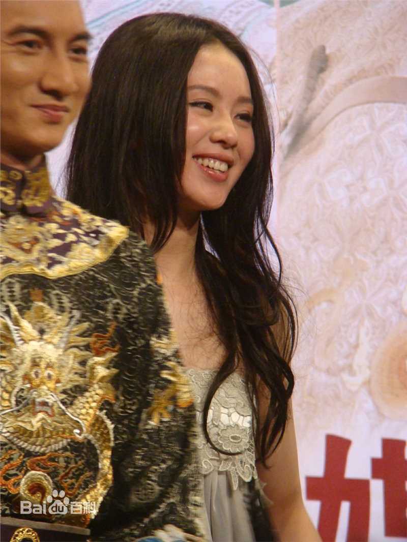 最全刘诗诗(Liu Shishi)在出席《步步惊心》媒体见面会中的壁纸