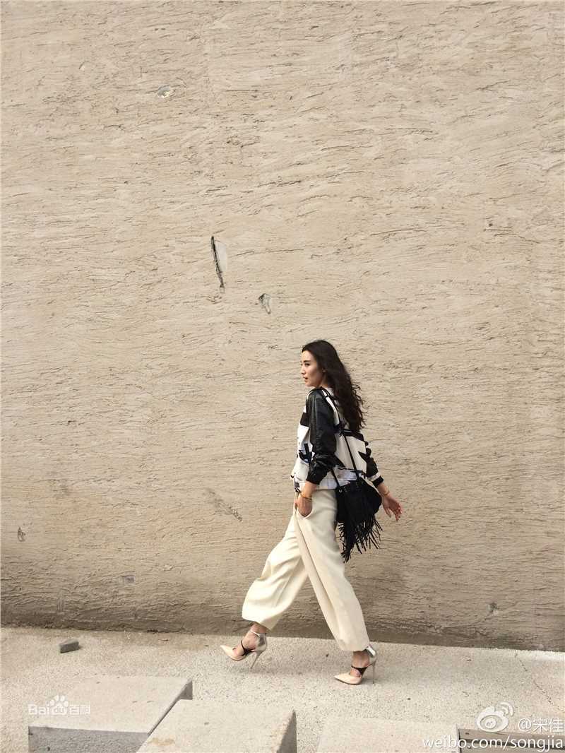 宋佳(Song Jia)街拍-Fire Bible性感图片图集
