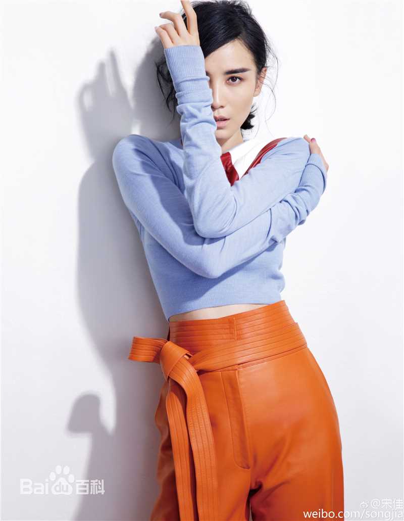 宋佳(Song Jia)瑞丽时尚先锋2015年8月刊前后照片