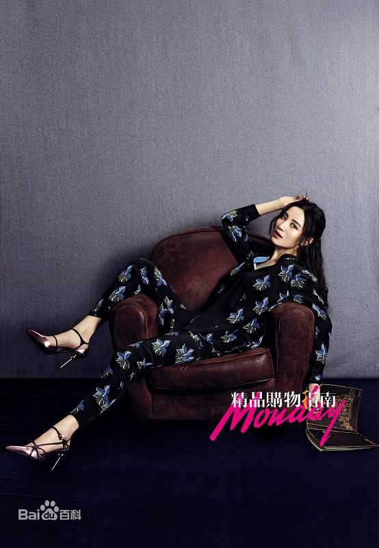 宋佳(Song Jia)精品购物指南2014年12月刊图片图集