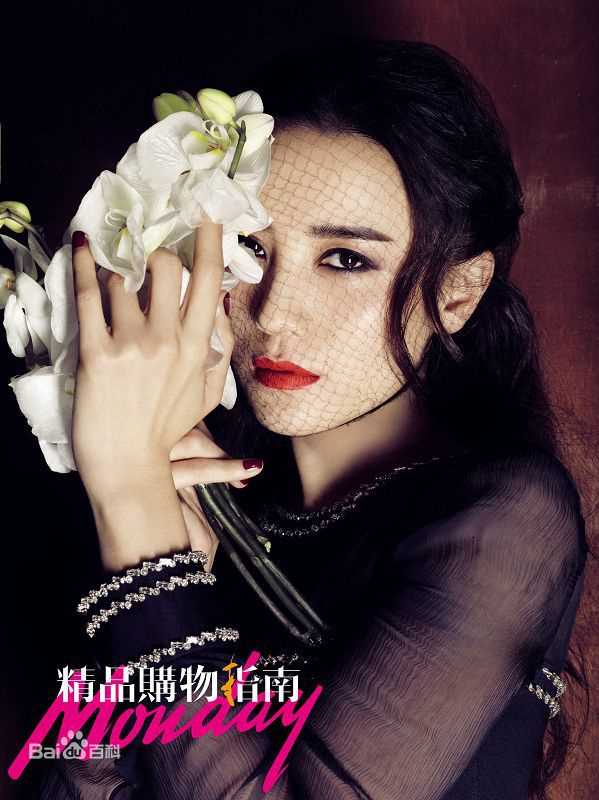 宋佳(Song Jia)精品购物指南2014年12月刊图片图集