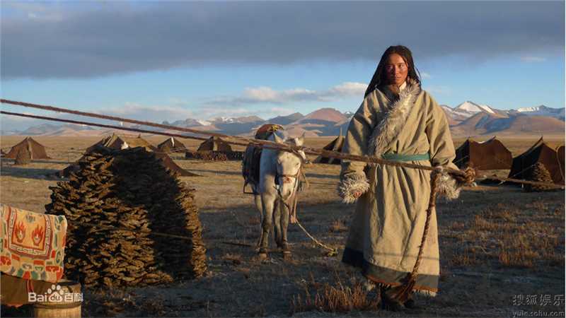 最全宋佳(Song Jia)小精彩图册
