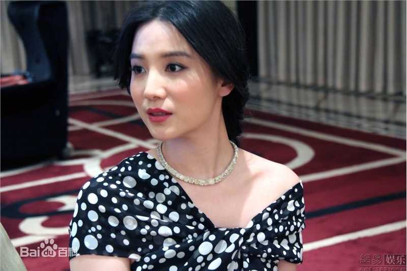 最全宋佳(Song Jia)小精彩图册