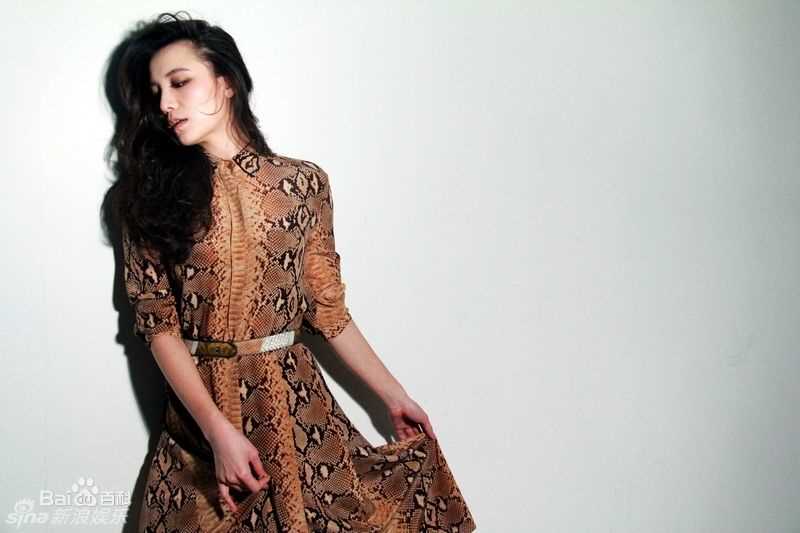 宋佳(Song Jia)小精彩图册