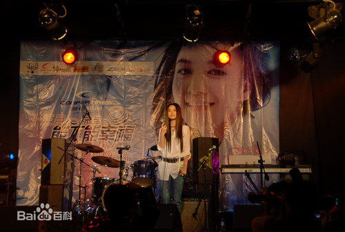 宋佳(Song Jia)2008年个人专辑能不能幸福发布会现场素颜照相册